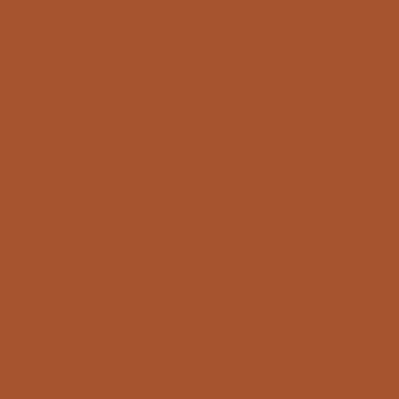 2175-10 Aztec Brick - Paint Color