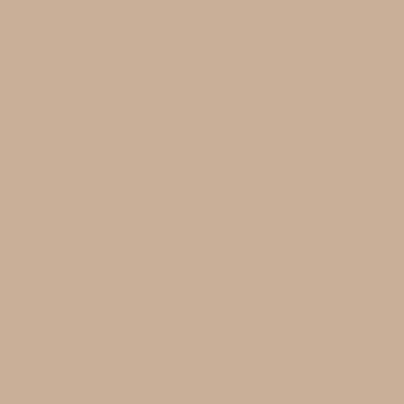 1082 Cream Soda - Paint Color