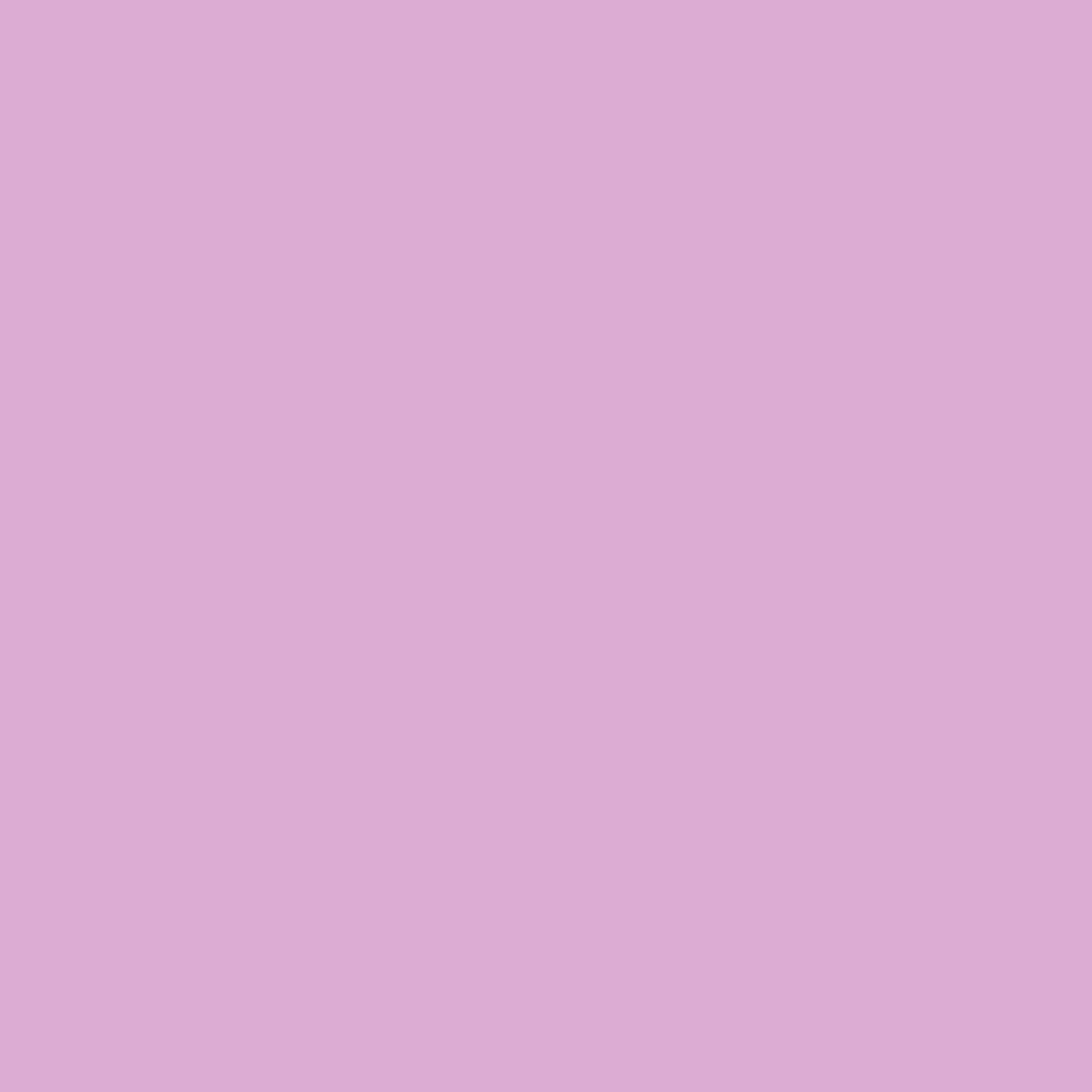 2074-50 Exotic Fuchsia - Paint Color | Paintscapes