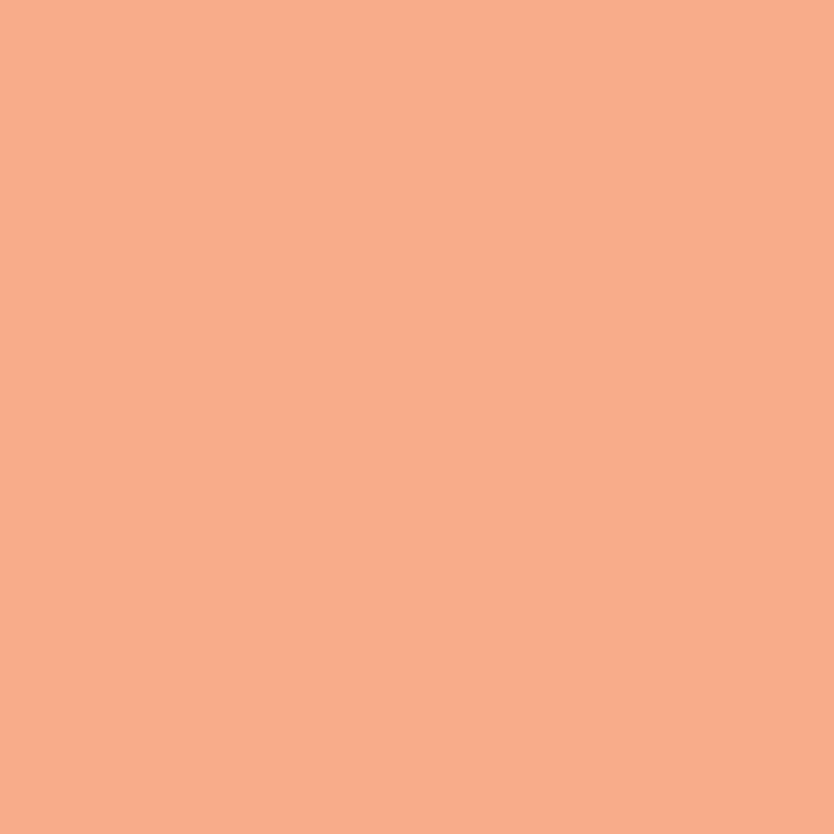 081 Intense Peach - Paint Color | Paintscapes
